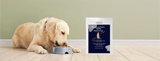 New Zealand made dog food - designed for dogs with allergies or sensitive tummies