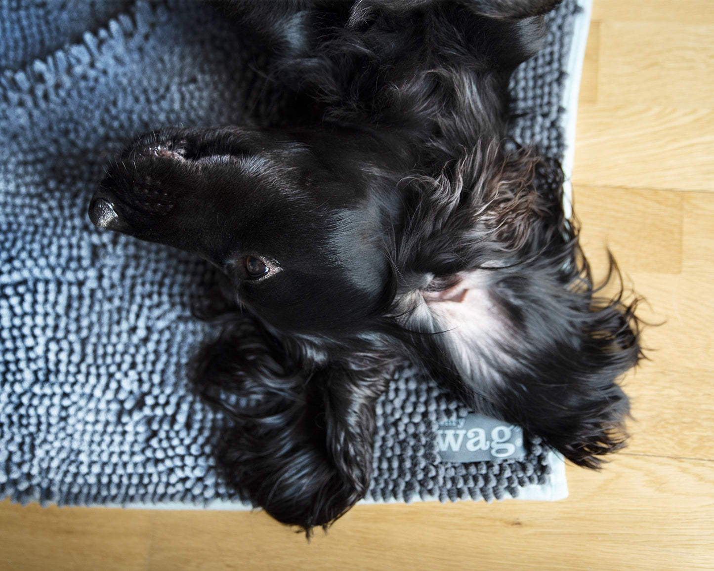 Henry Wag Microfibre Noodle Pet Mat