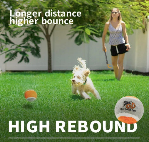 Dog running for the ball.