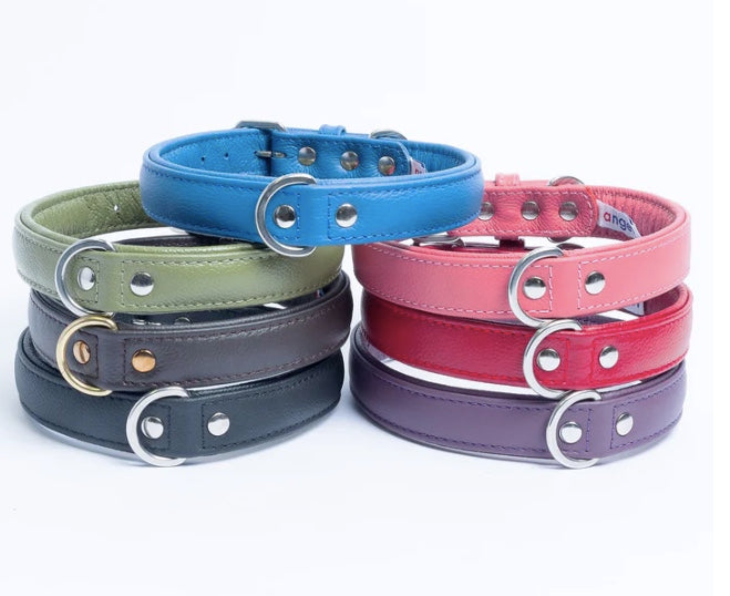 Angel leather dog collar