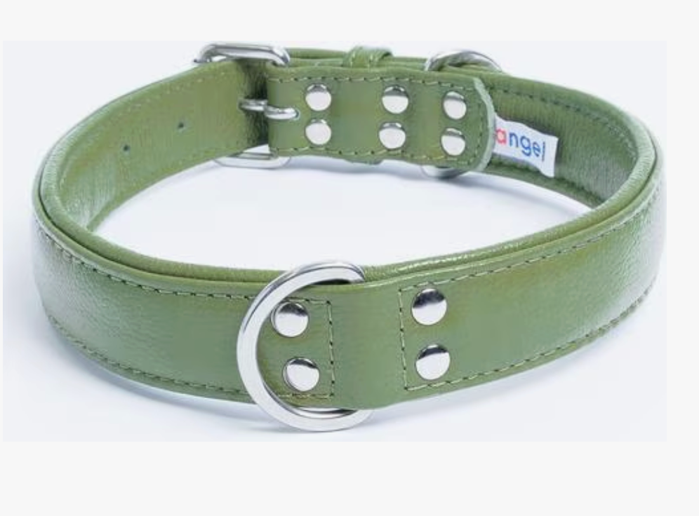 Green leather dog collar NZ