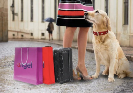Your dog will look gorgeous in the pack with the Angel Leather Collar Hearts.