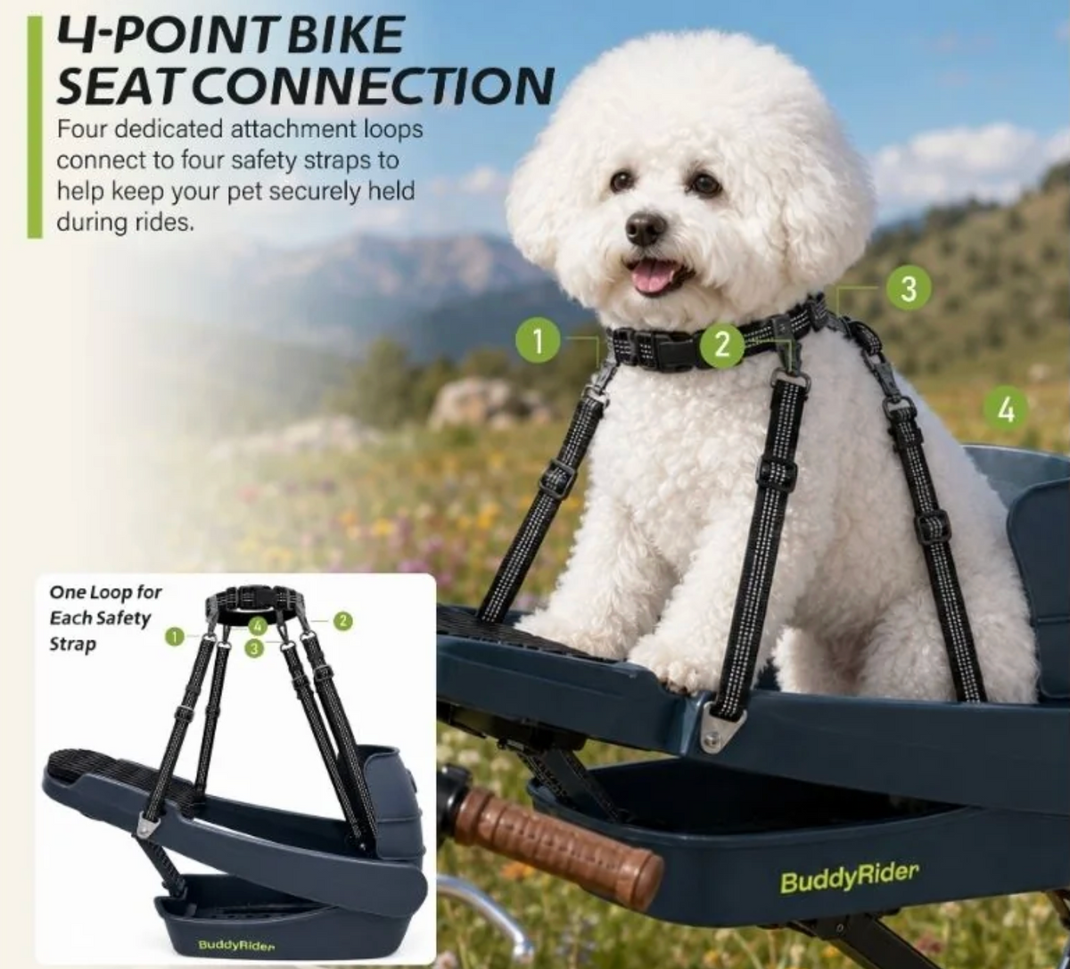 Buddyrider Series 2 XXS dog collar NZ