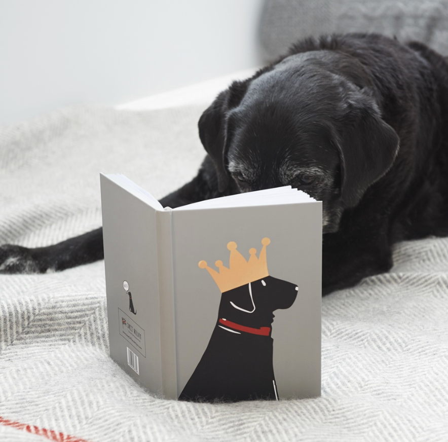 Black Labrador Notebook New Zealand