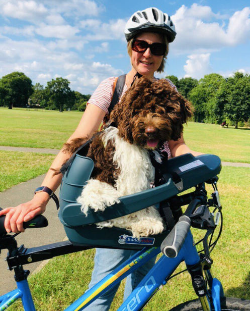 Dog carrier on a bike