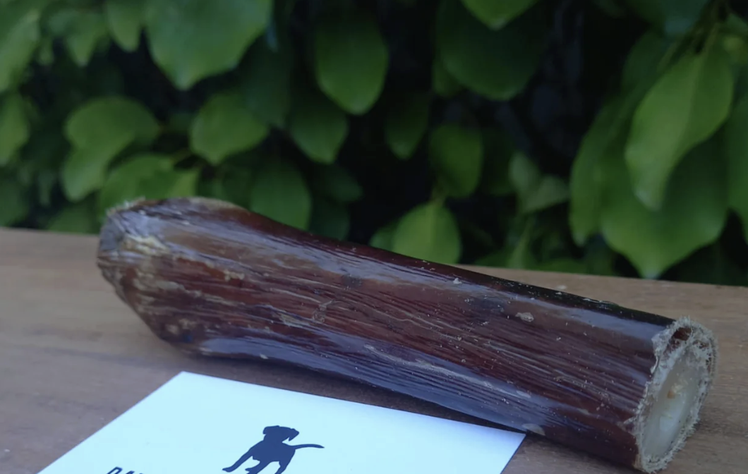 natural dog chew NZ