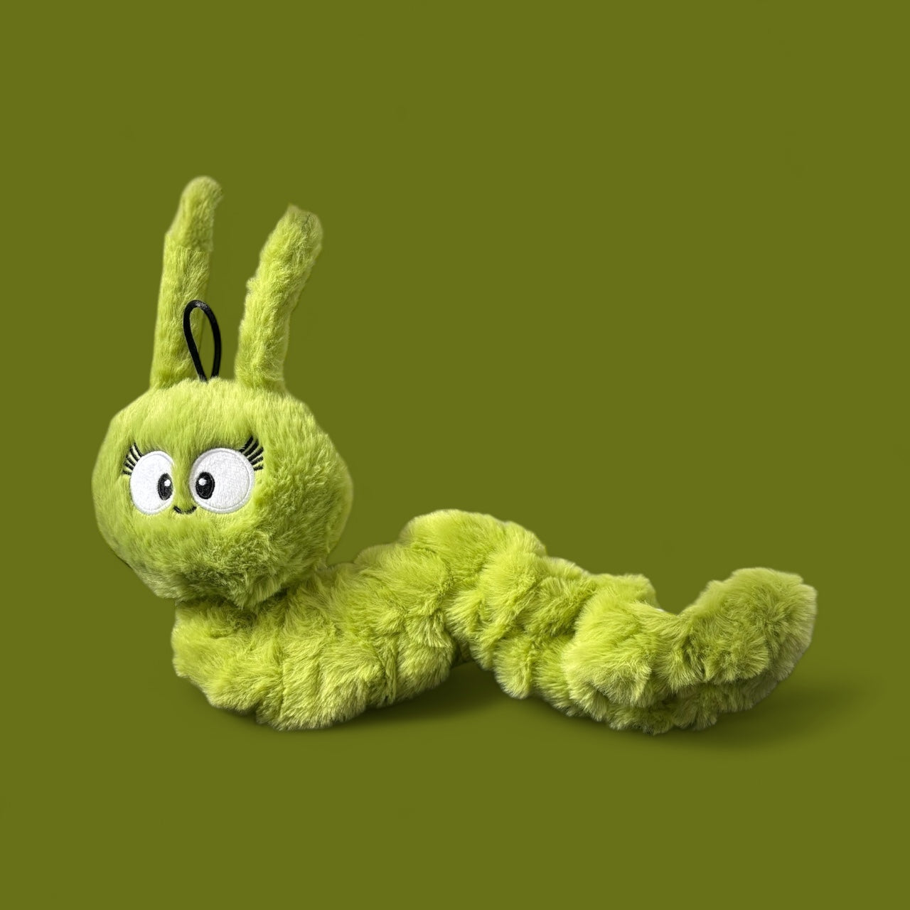 Green plush Caterpillar dog tug toy New Zealand