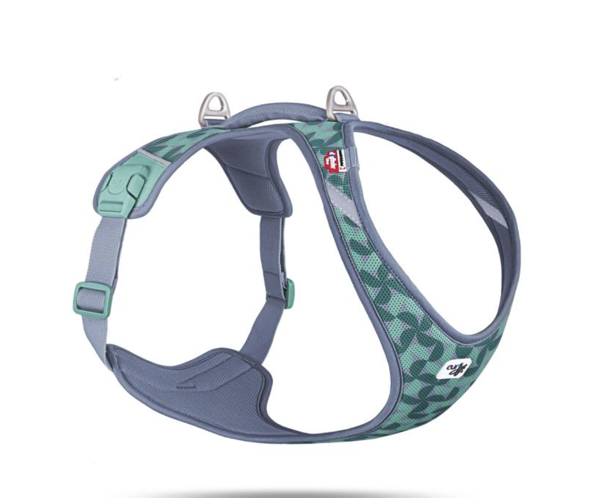 Large dog harness NZ