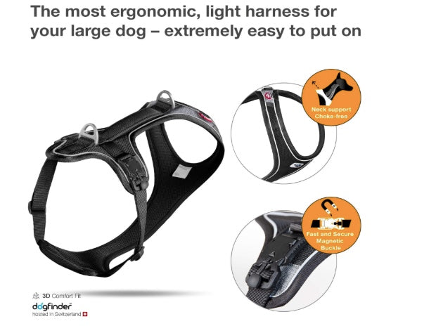 Show how the magnetic buckles fasten the Curli Belka Harness.