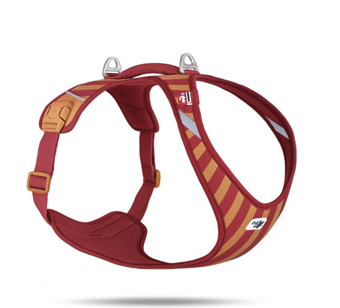 Comfortable dog harness NZ