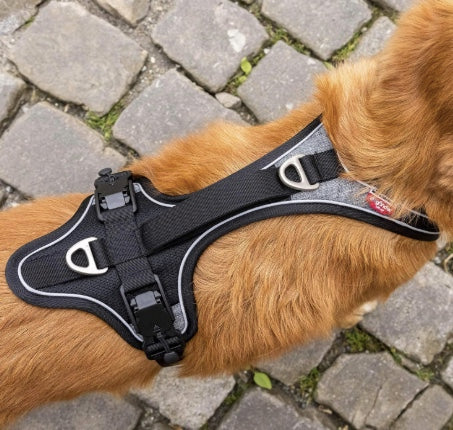 No chaffing with the Curli Belka Harness.
