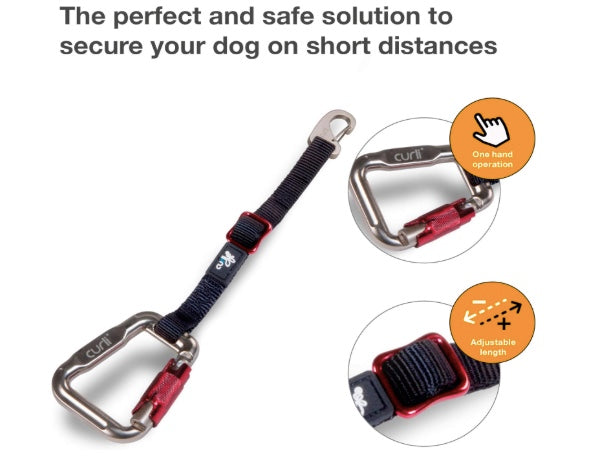 Safe solutions to secure your dog in the car.