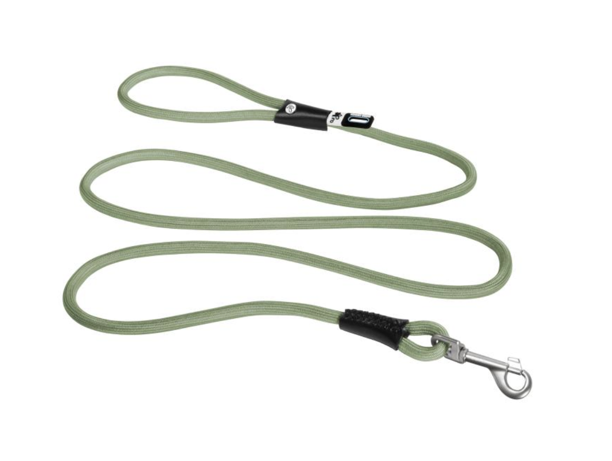 Best dog leads NZ