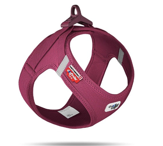 The most comfortable dog harness