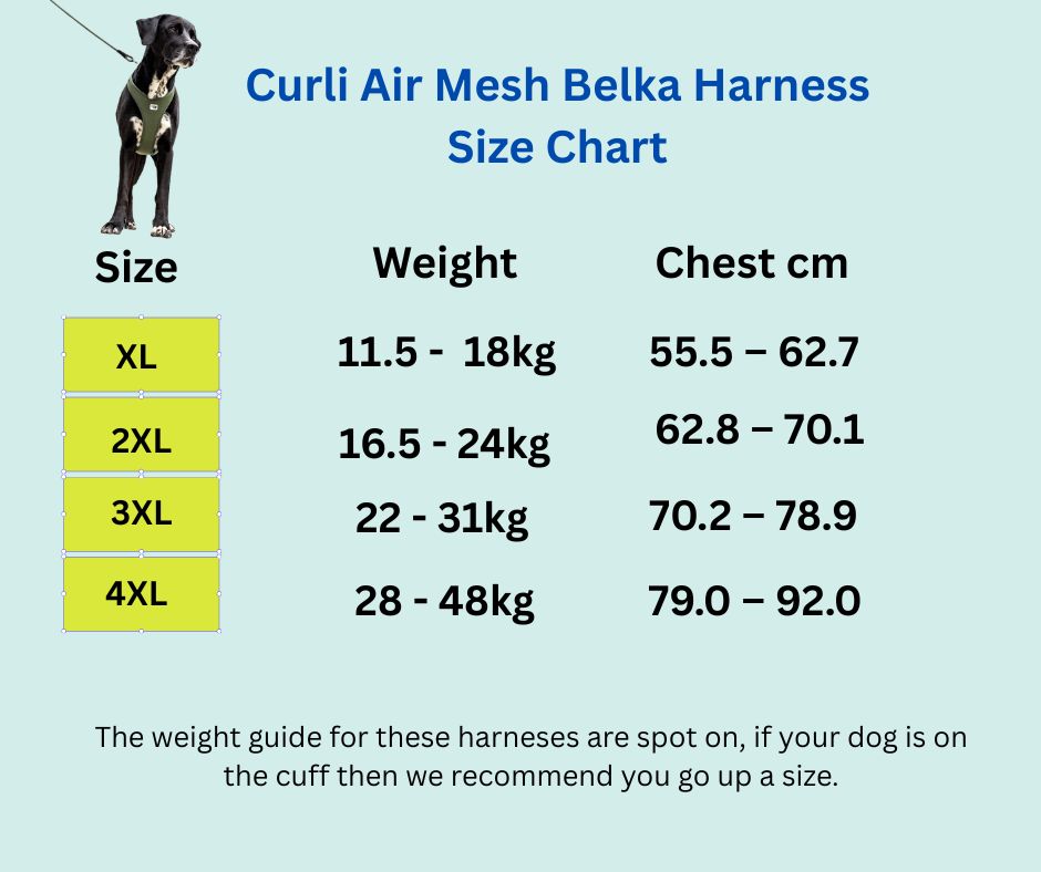 Curli Belka Dog harness NZ