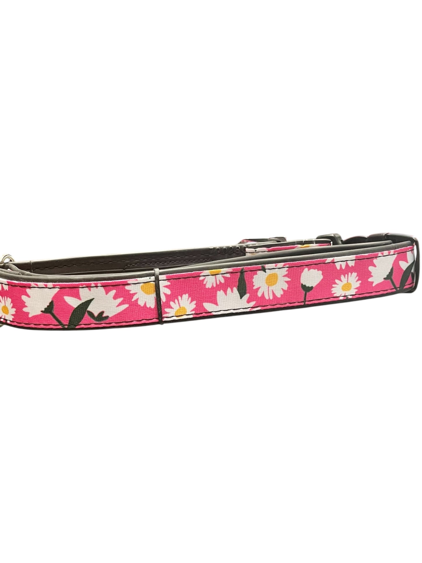 Waterproof dog collar