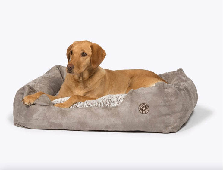The perfect place to snuggle down for a dog.