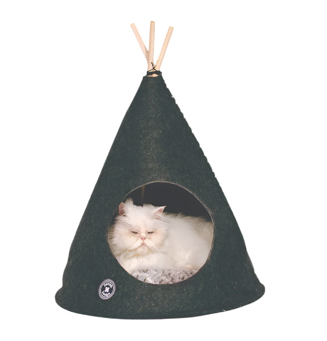 Cat sleeping in the cat teepee