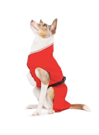 Best waterproof dog coat NZ