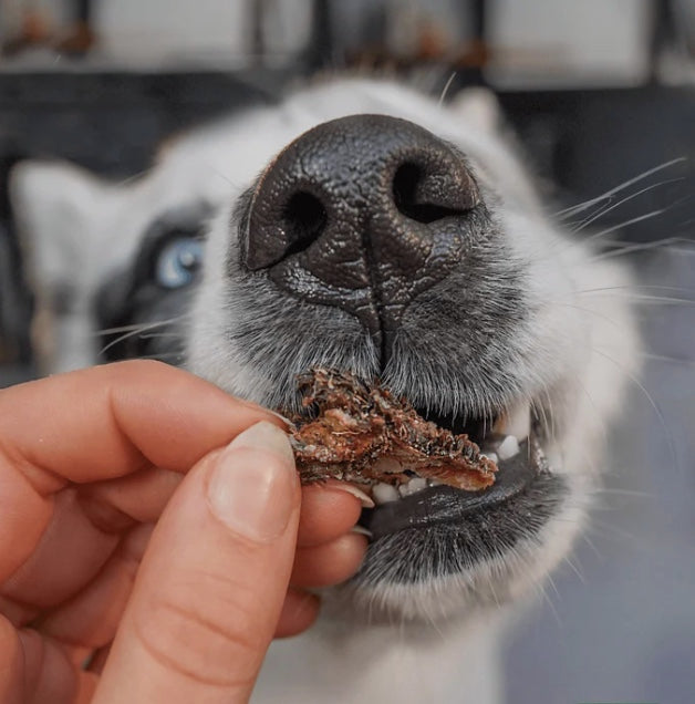 Made in New Zealand Goat Tripe is crunchy and good for your dogs oral health.
