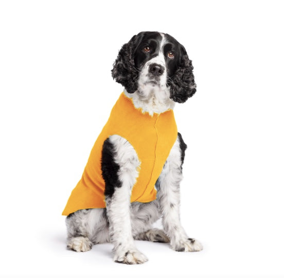 Spaniel wearing the Cheddar Stretch Fleece.