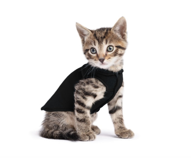 Cat wearing the black Goldpaw Fleece.