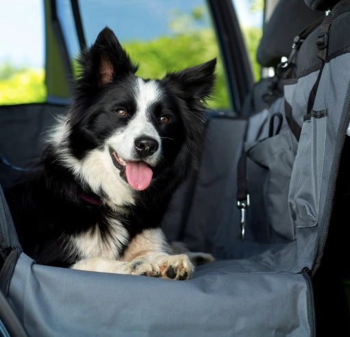Collie fits easily into the pet hammock on the back seat of a car.