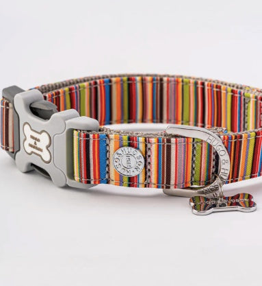 Hugo and Hudson Multi Striped collar