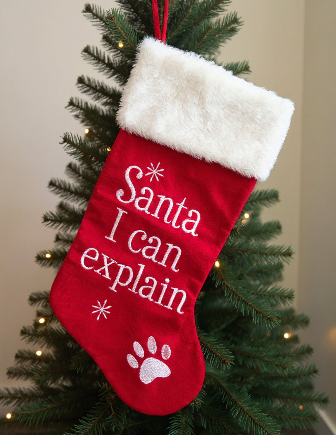 Christmas Pet Stocking 'Santa I can Explain"