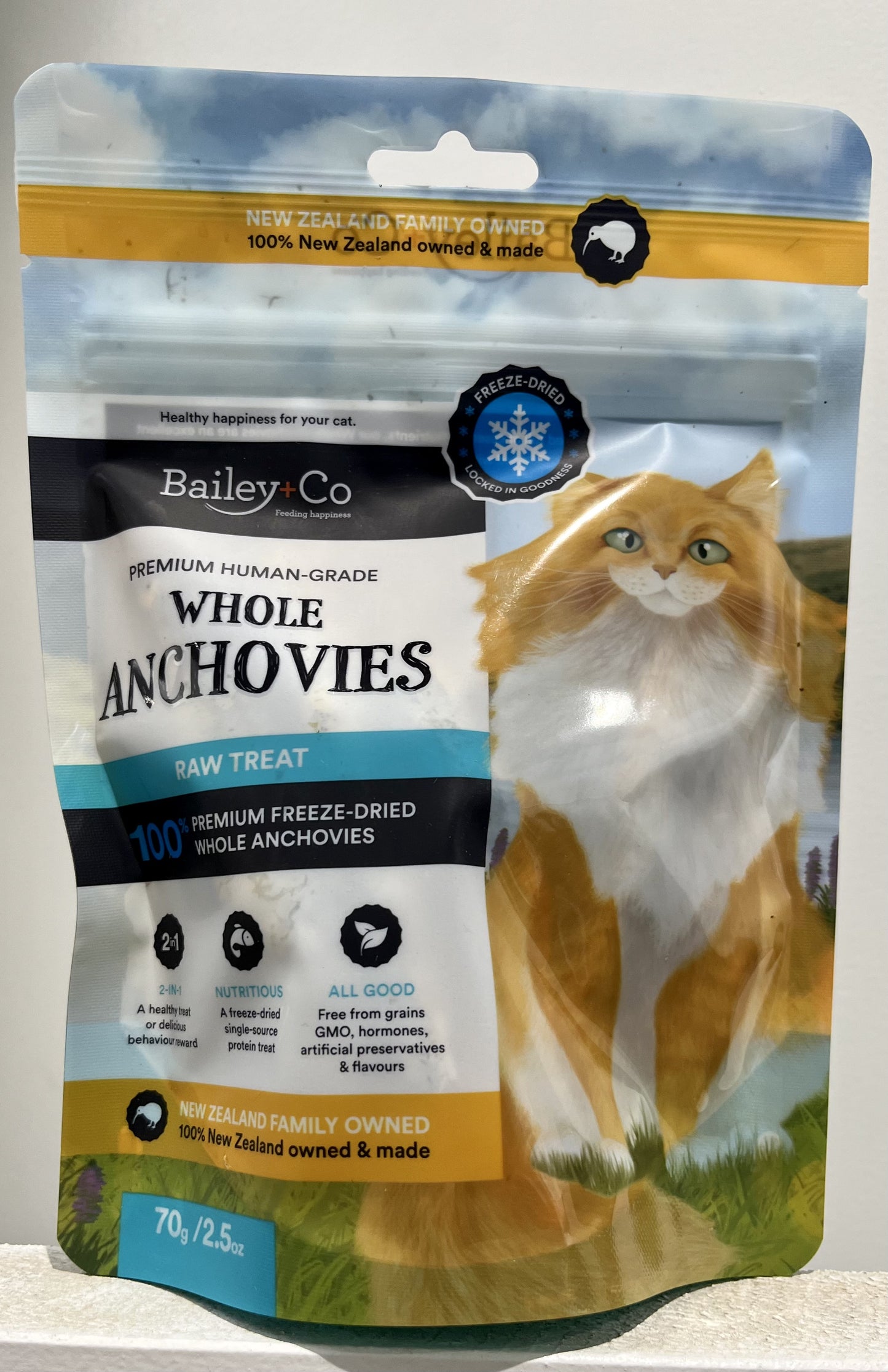 Bailey Co cat anchovies