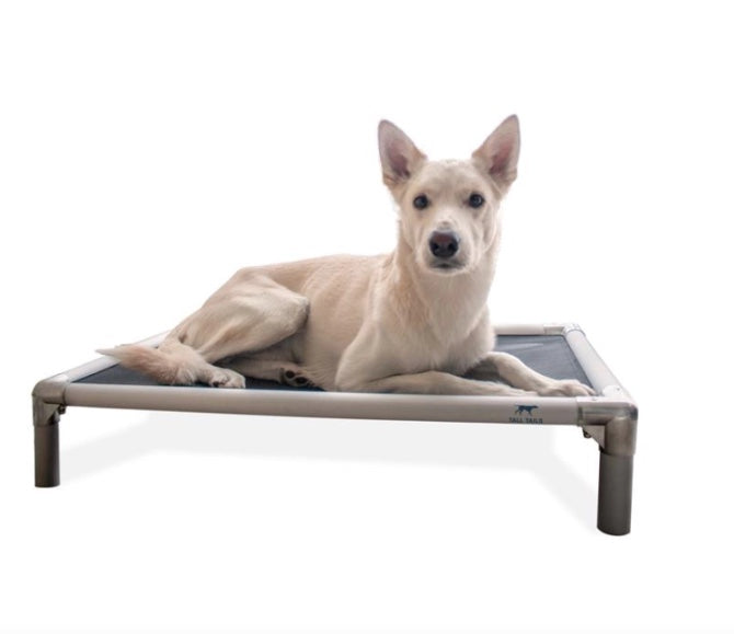 Stainless steel elevated dog bed