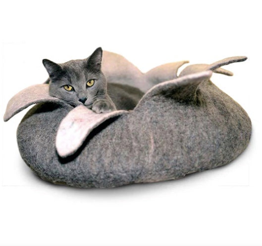 Perfect for cats, they just love the lanolin in the wool.