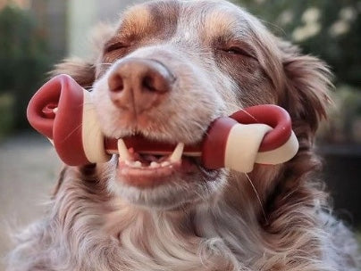 Vegetarian dog chew bone