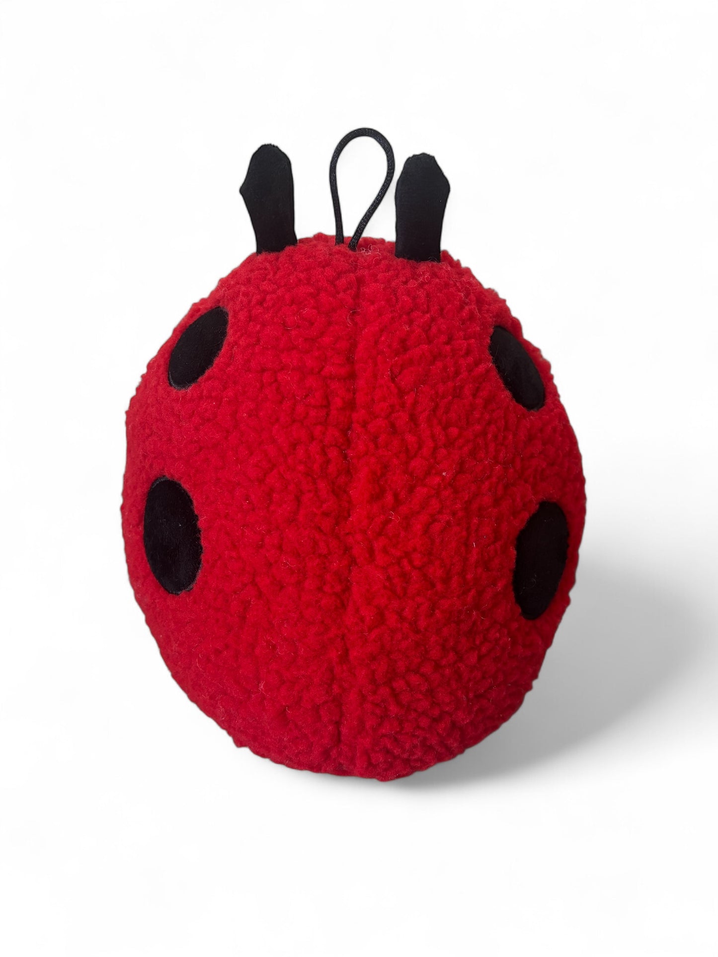 Auckland dog toys