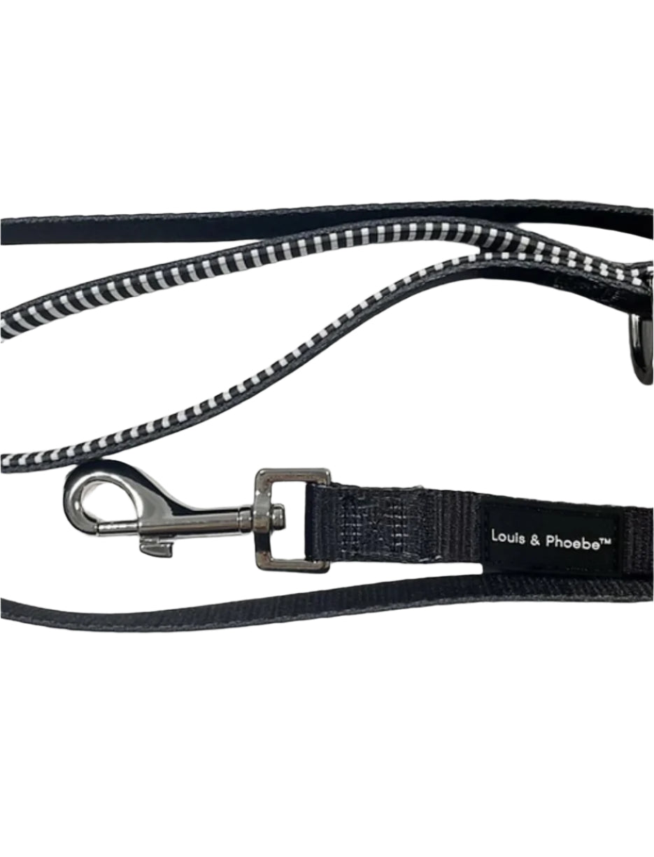 Candy Stripe dog stripe