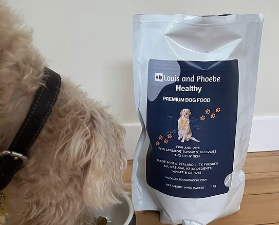 Dog eating Louis and Phoebe Fsh and Rice Hypoallergenic Dog Food