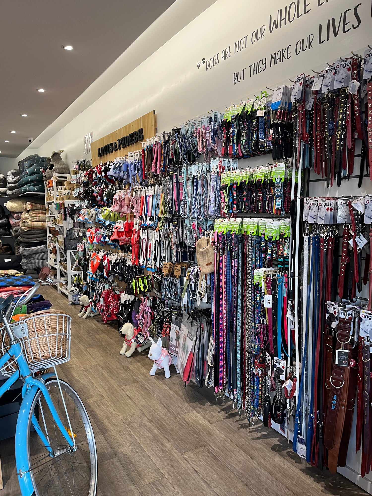 Louis and Phoebe Pet Boutique pet - retail shop ,pet shop interior shows unique, high quality dog and cat accessories Auckland NZ.