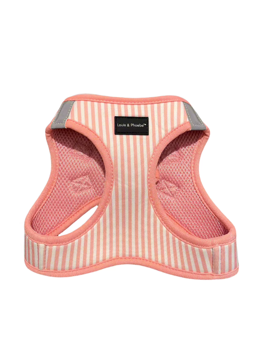 Made from soft neoprene and so easy to put on.
