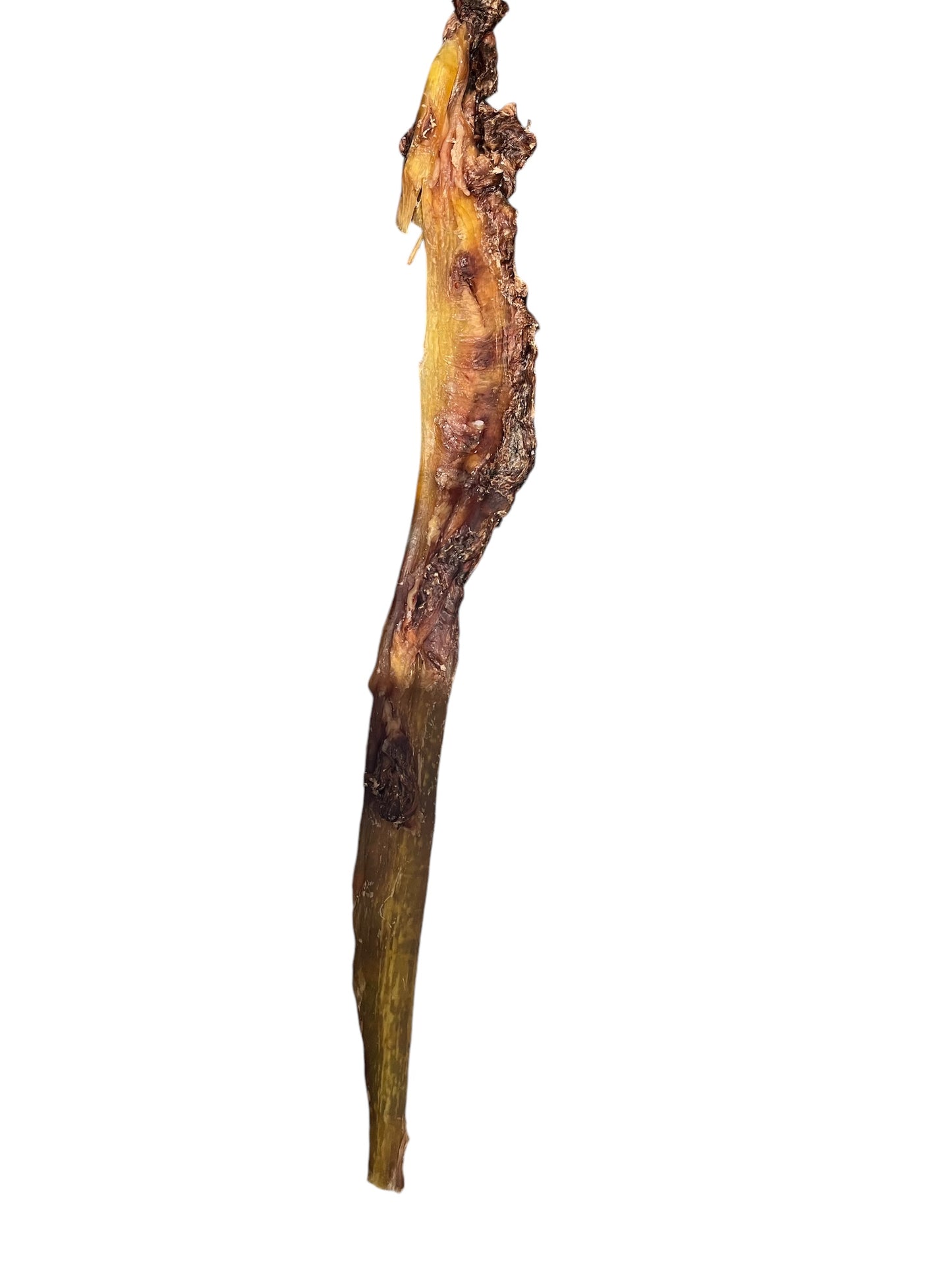Best quality Venison Paddywack from New Zealand Deer