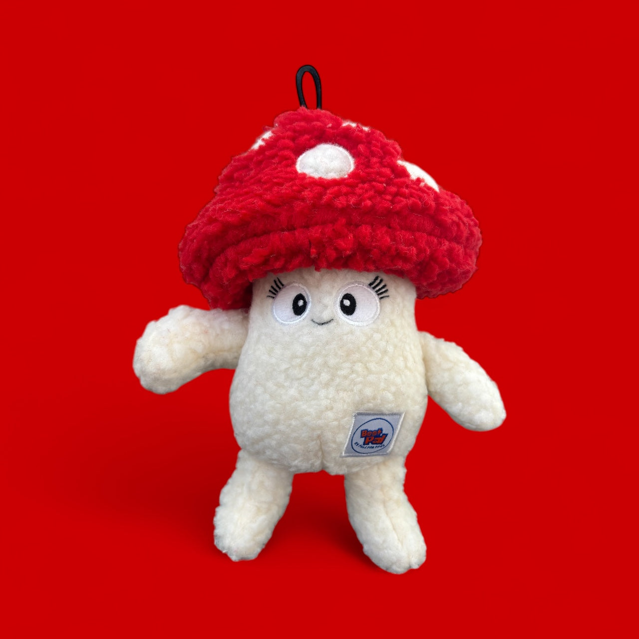 Toadstool dog dog New Zealand