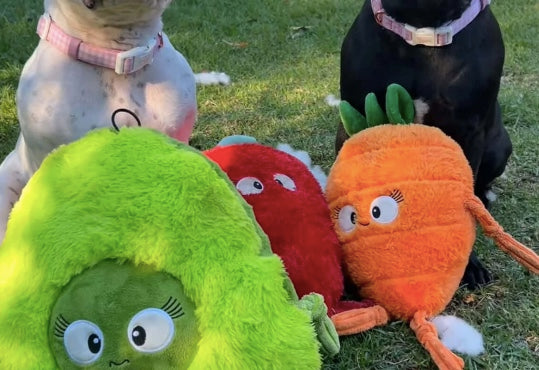 Plush dog toy bundle