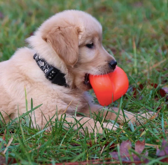 Indestructible and ideal for puppies as they are made from natural rubber