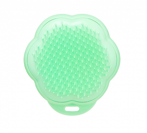 Pet Teezer brush