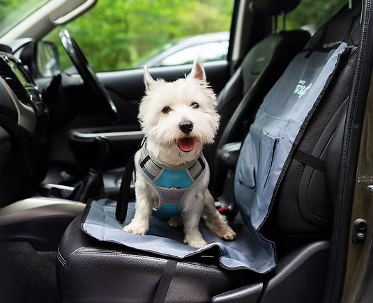 Pet Single Car Seat Protector