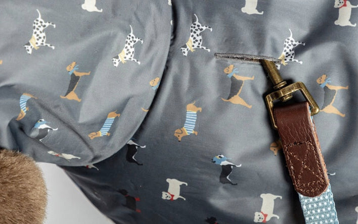 FatFace Marching raincoat