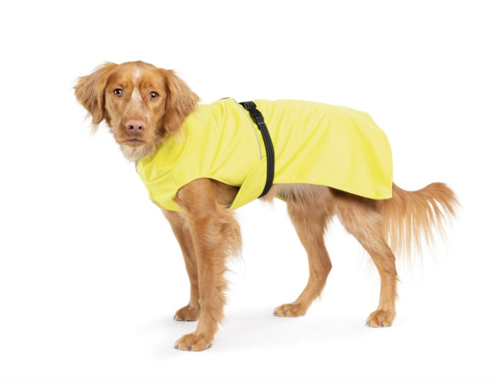 Goldpaw Rainpaw 11 Rain Coat