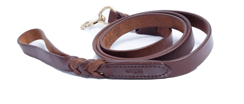 Angel Braided Leather Dog Leash