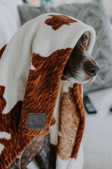 Tall Tails blanket cow hide
