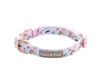 Coco dog collar