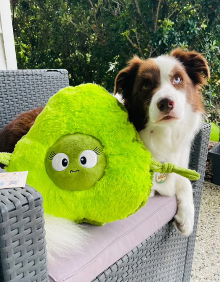 Pals for paws plush Smashy Avocado